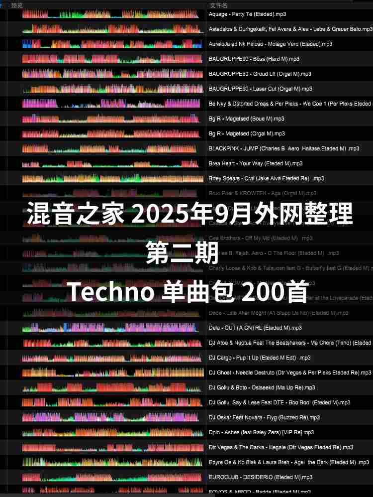 混音之家2025年9外网整理 第二期techno（200首）