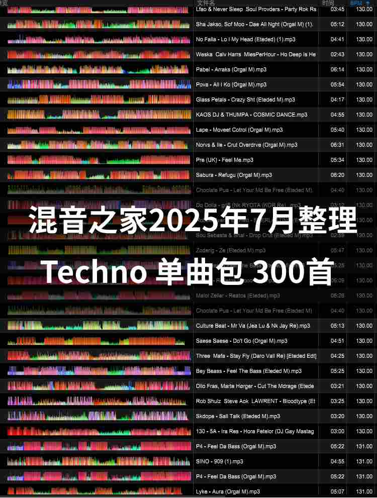 混音之家2025年7月整理-Techno （300首）