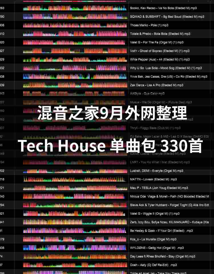 混音之家9月外网整理 第一期 tech house （330首）.zip