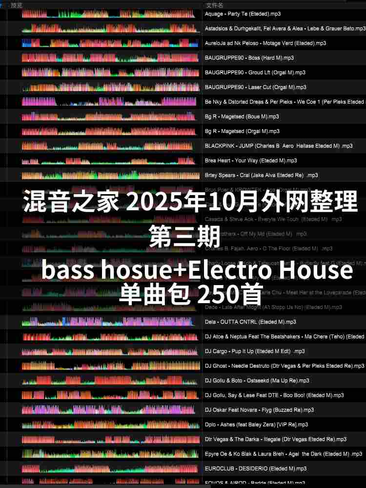 混音之家10月外网整理第三期 bass hosue+Electro House 250首