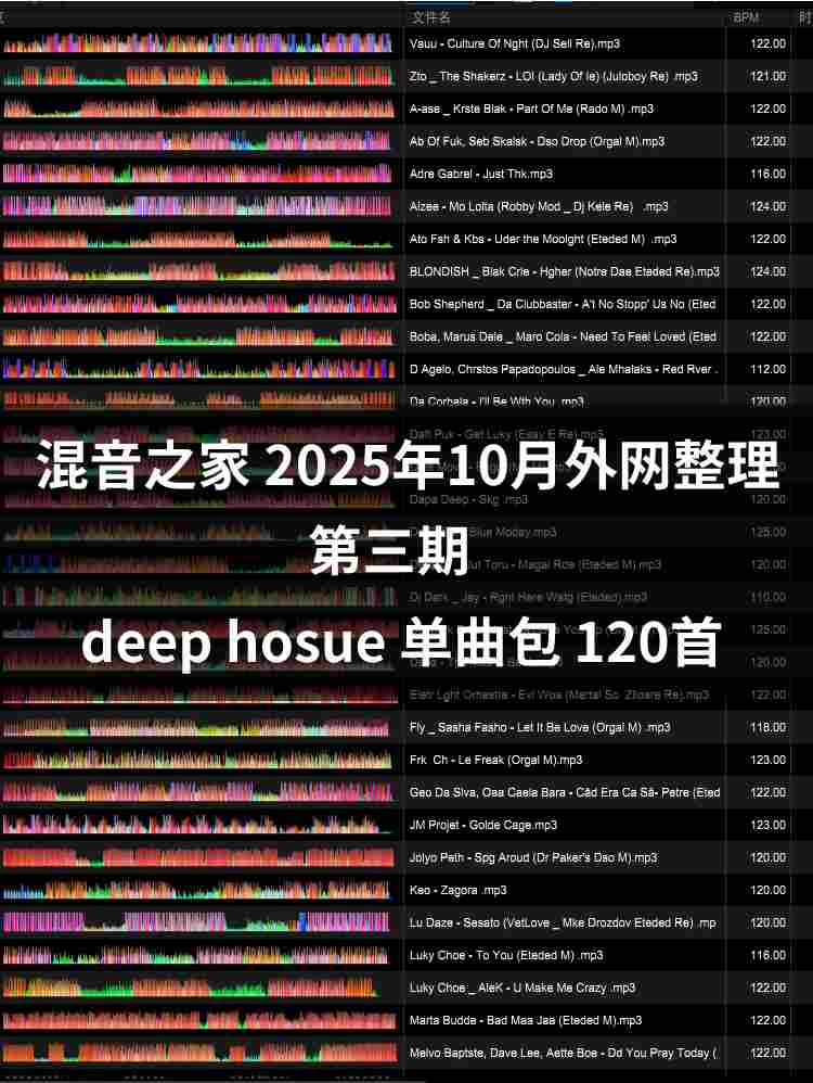 混音之家10月外网整理 deep hosue 120首 专业dj打碟资源