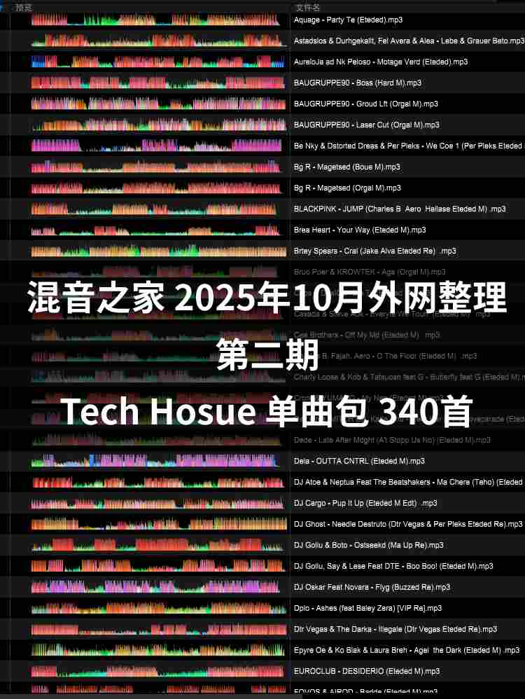 混音之家10月外网整理 第二期 tech hosue 专业打碟资源 340首