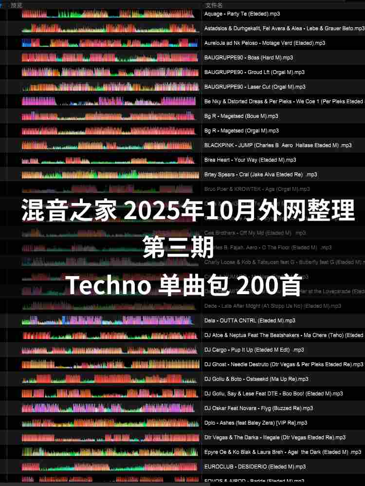 混音之家10月外网整理 第三期 techno 200首 专业dj打碟资源