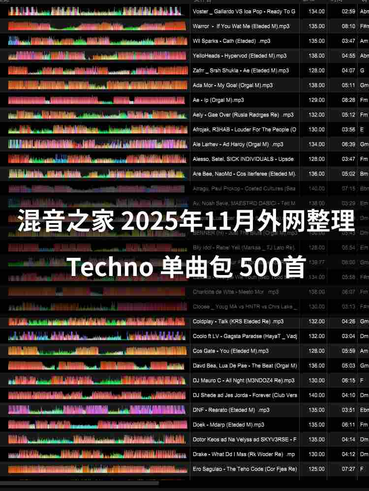 2025年11月外网整理techno 500首 专业dj打碟音乐包